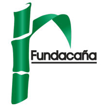 Fundacana